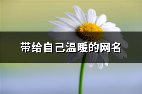 帶給自己溫暖的網名(共642個)