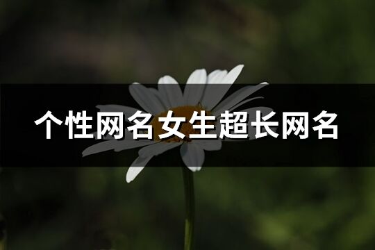 個性網名女生超長網名(共415個)