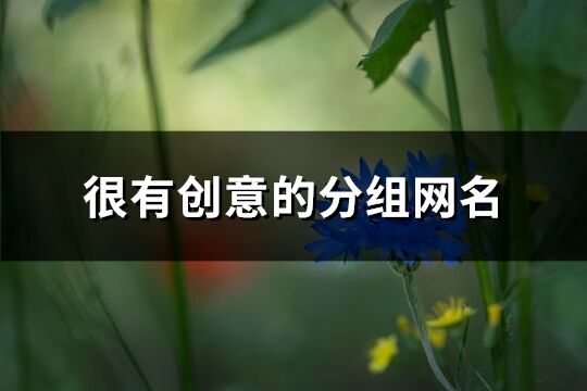 很有創(chuàng)意的分組網(wǎng)名(共67個)