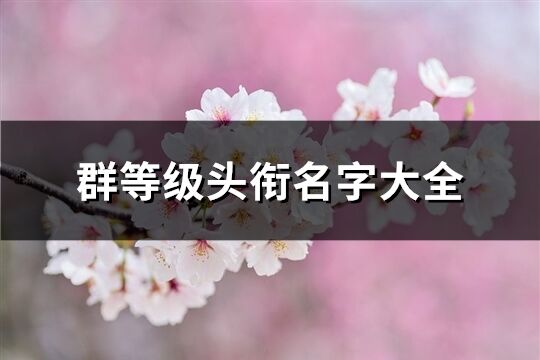 群等級頭銜名字大全(共63組)