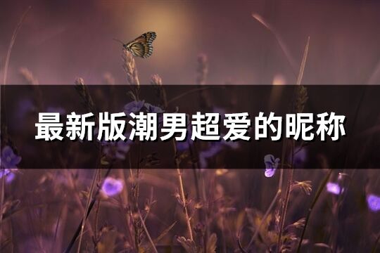最新版潮男超愛的昵稱(精選946個)