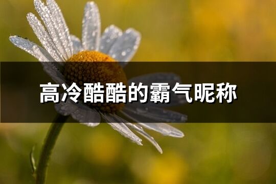 高冷酷酷的霸氣昵稱(751個)