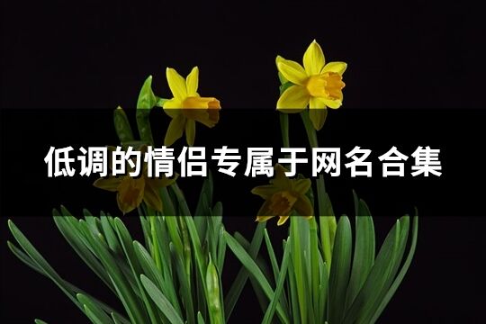 低調(diào)的情侶專屬于網(wǎng)名合集(優(yōu)選319個)
