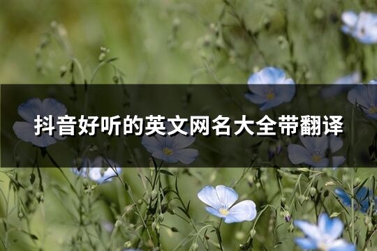 抖音好聽的英文網名大全帶翻譯(101個)