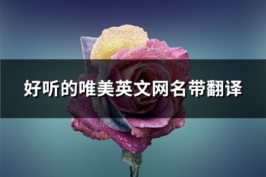 好聽的唯美英文網名帶翻譯(精選110個)