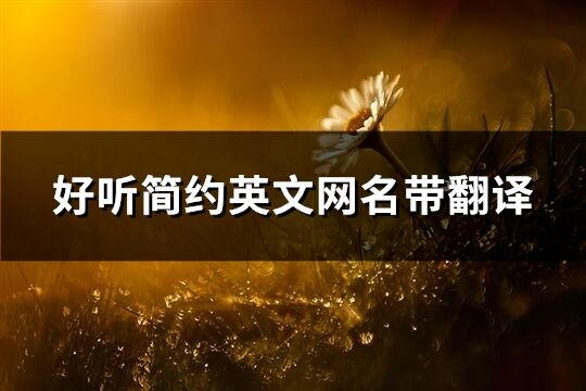 好聽簡約英文網名帶翻譯(151個)