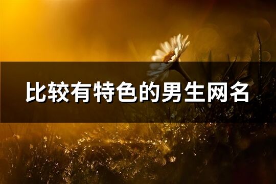 比較有特色的男生網名(優選642個)