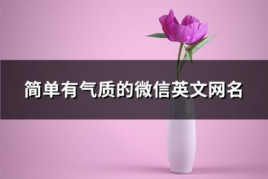 簡單有氣質的微信英文網名(優選78個)