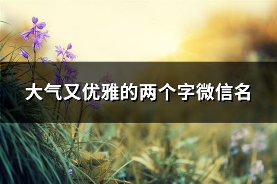 大氣又優雅的兩個字微信名(優選882個)