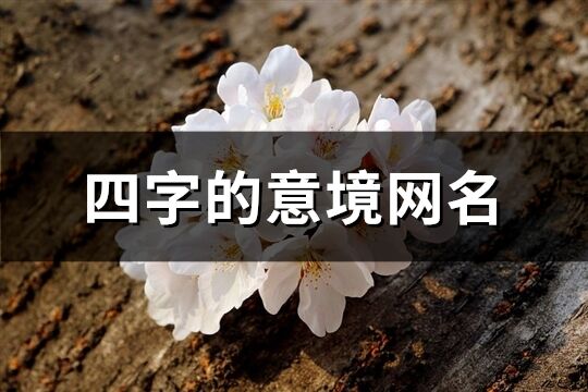 四字的意境網名(優選538個)