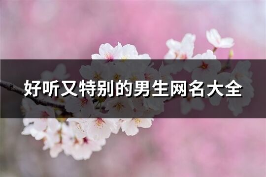 好聽(tīng)又特別的男生網(wǎng)名大全(703個(gè))