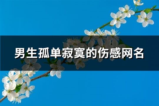 男生孤單寂寞的傷感網名(優選453個)