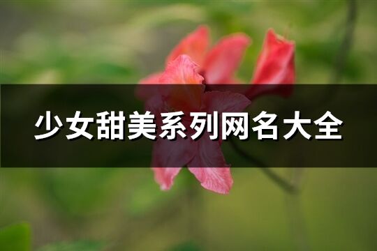 少女甜美系列網(wǎng)名大全(優(yōu)選338個(gè))