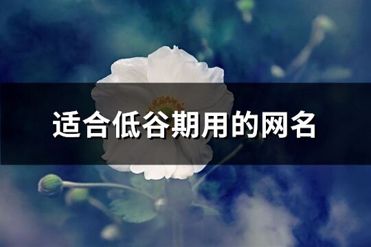 適合低谷期用的網名(88個)
