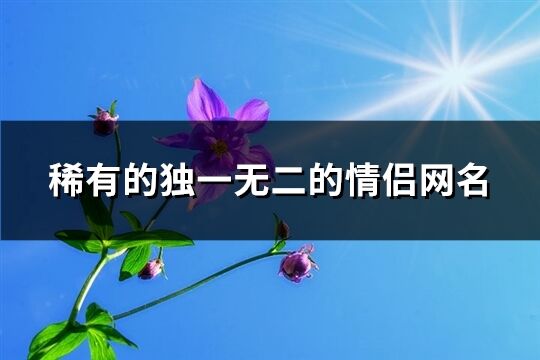 稀有的獨(dú)一無二的情侶網(wǎng)名(精選460個)