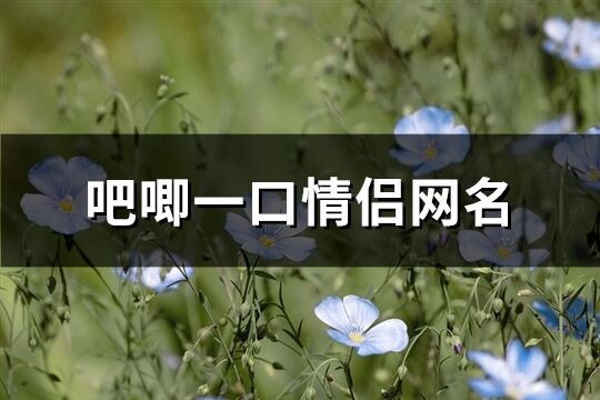 吧唧一口情侶網名(49個)