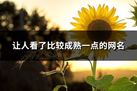 讓人看了比較成熟一點的網(wǎng)名(345個)