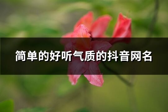 簡單的好聽氣質(zhì)的抖音網(wǎng)名(優(yōu)選1610個)