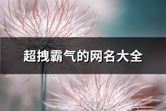超拽霸氣的網(wǎng)名大全(共243個(gè))