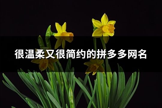 很溫柔又很簡約的拼多多網名(精選110個)