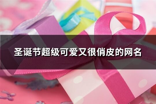 圣誕節超級可愛又很俏皮的網名(優選124個)