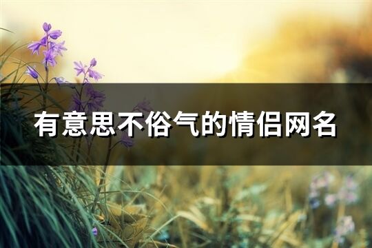 有意思不俗氣的情侶網名(精選454個)