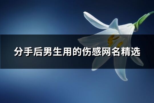 分手后男生用的傷感網名精選(優選291個)