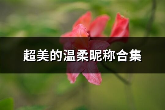 超美的溫柔昵稱合集(精選575個)