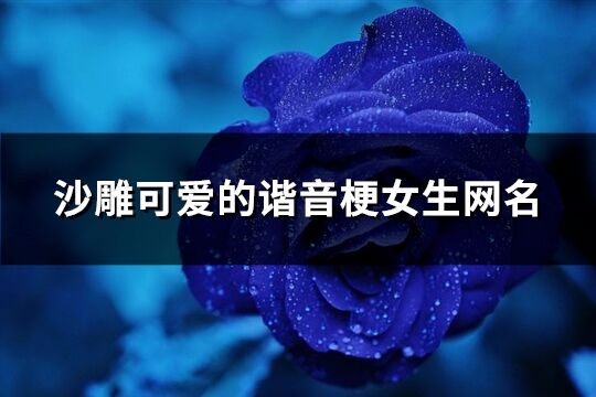 沙雕可愛的諧音梗女生網(wǎng)名(優(yōu)選73個)