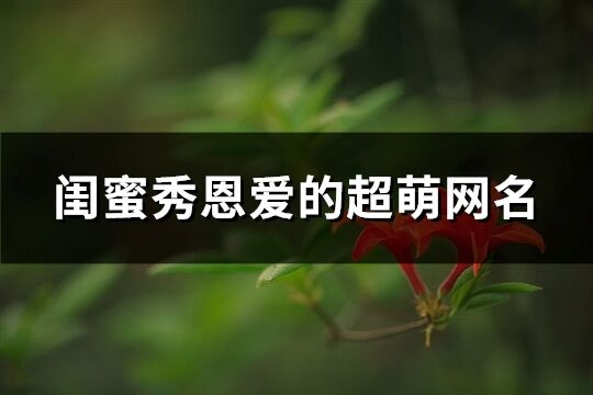 閨蜜秀恩愛的超萌網(wǎng)名(73個)