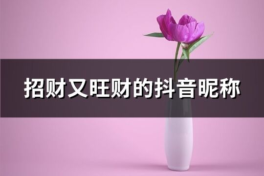 招財又旺財?shù)亩兑絷欠Q(精選702個)