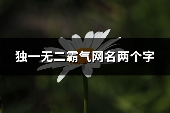 獨一無二霸氣網名兩個字(精選1022個)