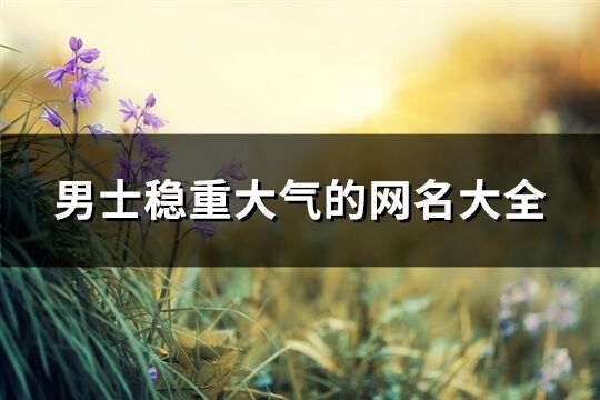 男士穩重大氣的網名大全(1757個)