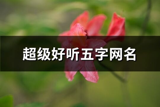 超級好聽五字網名(精選991個)