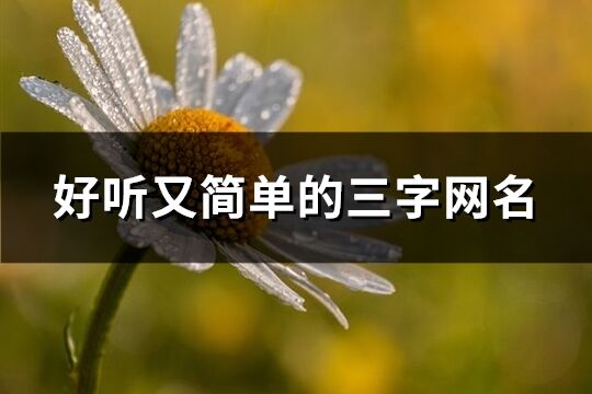 好聽又簡單的三字網名(506個)