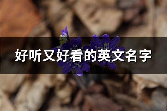 好聽又好看的英文名字(共94個)