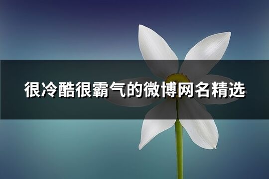 很冷酷很霸氣的微博網名精選(366個)
