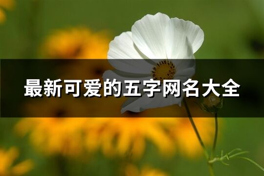 最新可愛的五字網名大全(優選970個)