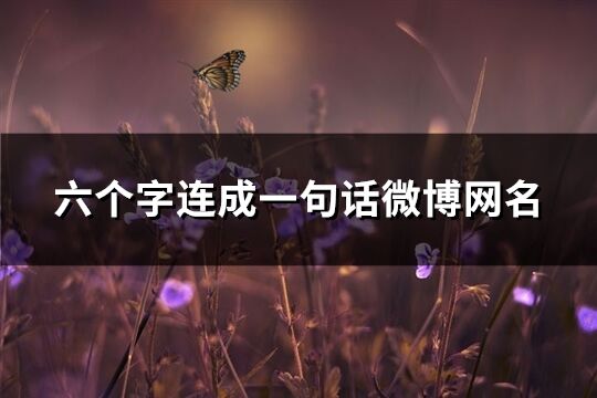 六個字連成一句話微博網(wǎng)名(776個)