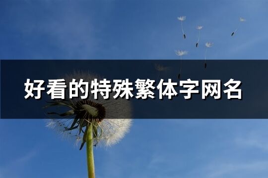 好看的特殊繁體字網名(共343個)