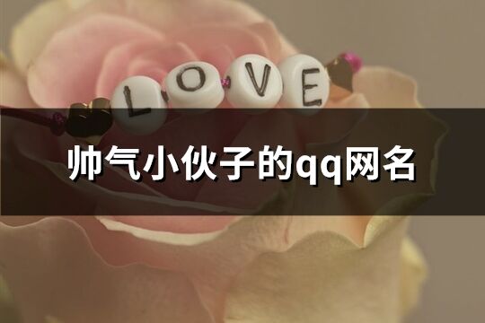 帥氣小伙子的qq網名(精選458個)