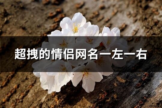 超拽的情侶網(wǎng)名一左一右(共162個(gè))