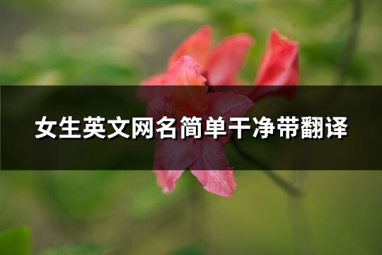 女生英文網名簡單干凈帶翻譯(共161個)