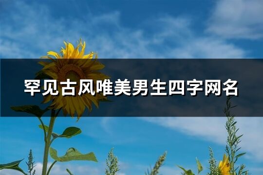 罕見古風唯美男生四字網名(974個)