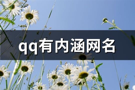 qq有內(nèi)涵網(wǎng)名(優(yōu)選137個(gè))