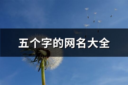 五個字的網名大全(精選1090個)