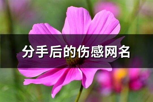 分手后的傷感網(wǎng)名(精選426個)