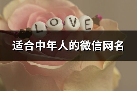 適合中年人的微信網名(共259個)