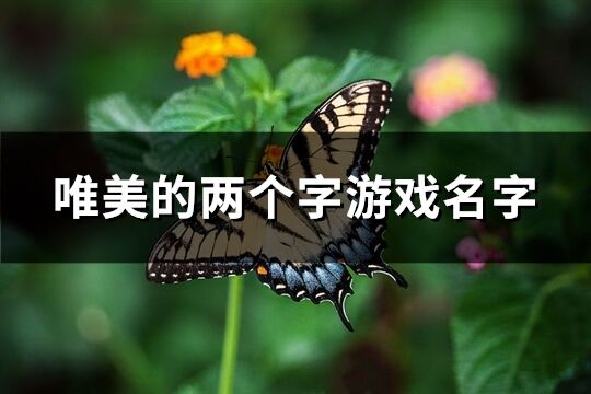 唯美的兩個字游戲名字(優(yōu)選562個)