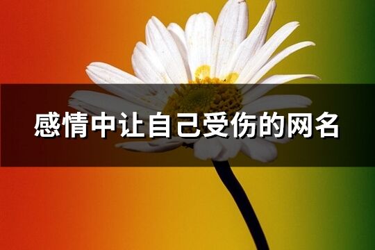 感情中讓自己受傷的網名(共218個)